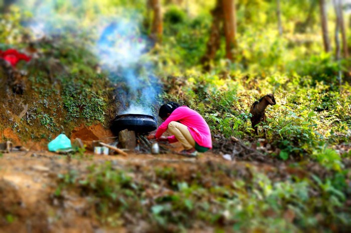 Goat and its cook pot – pre-decapitation!